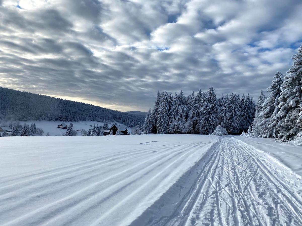 Byt Mala Upa Horní Malá Úpa エクステリア 写真