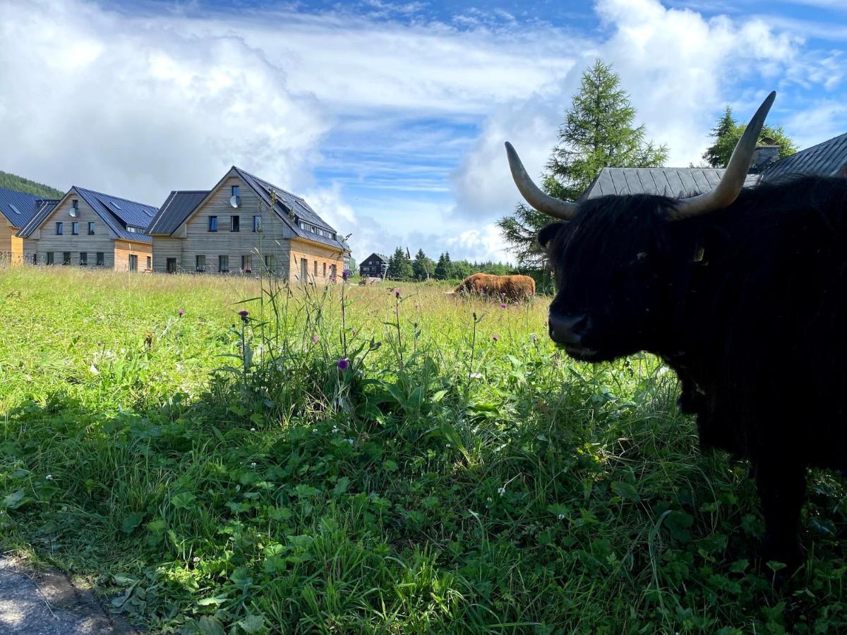 Byt Mala Upa Horní Malá Úpa エクステリア 写真